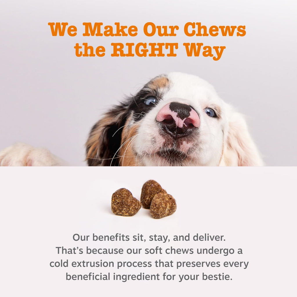 Zesty Paws Probiotics for Dogs - Gut Health Soft Chews, Pumpkin, 90 Ct