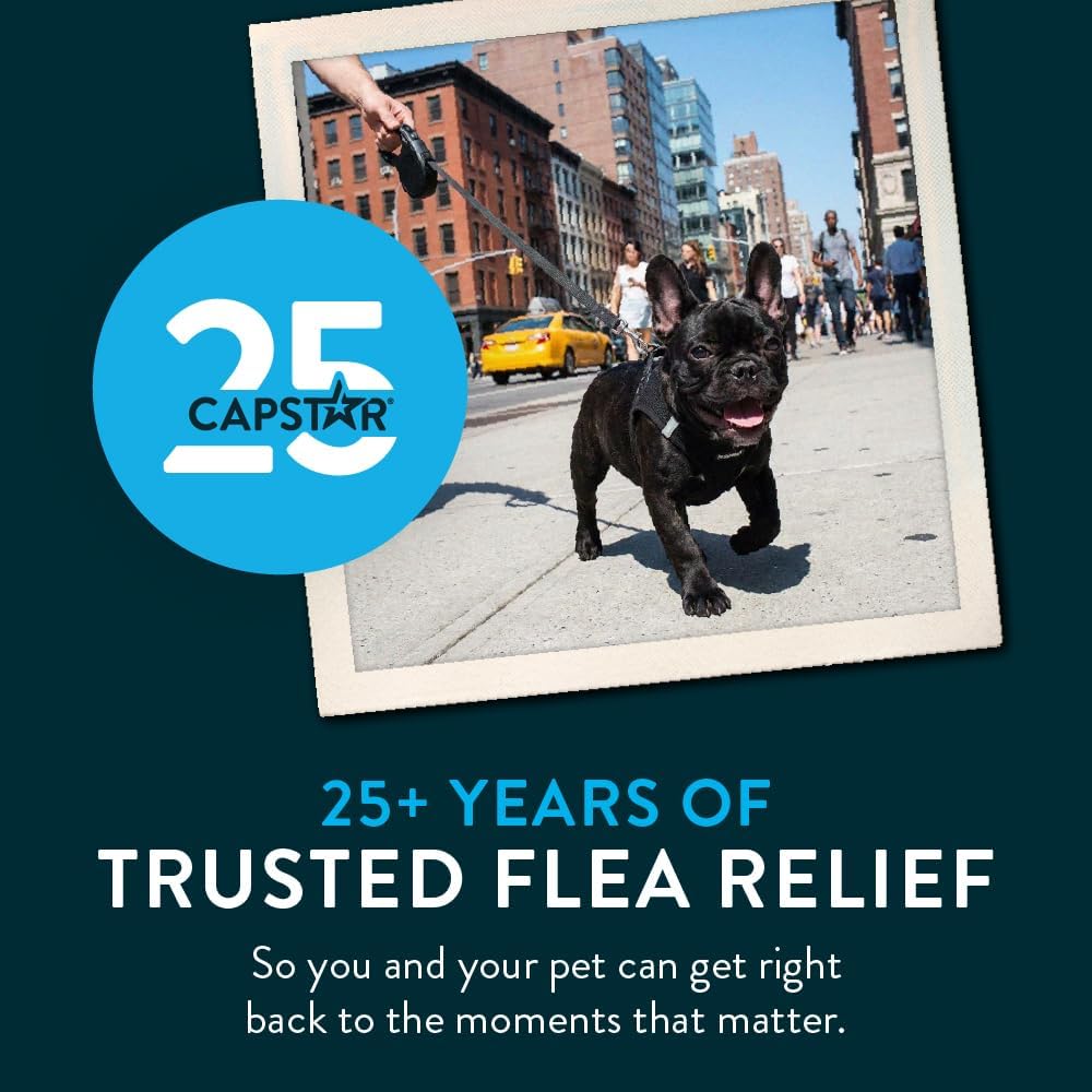 Capstar (nitenpyram) Fast-Acting Oral Flea Treatment for Dogs 2-25 lbs