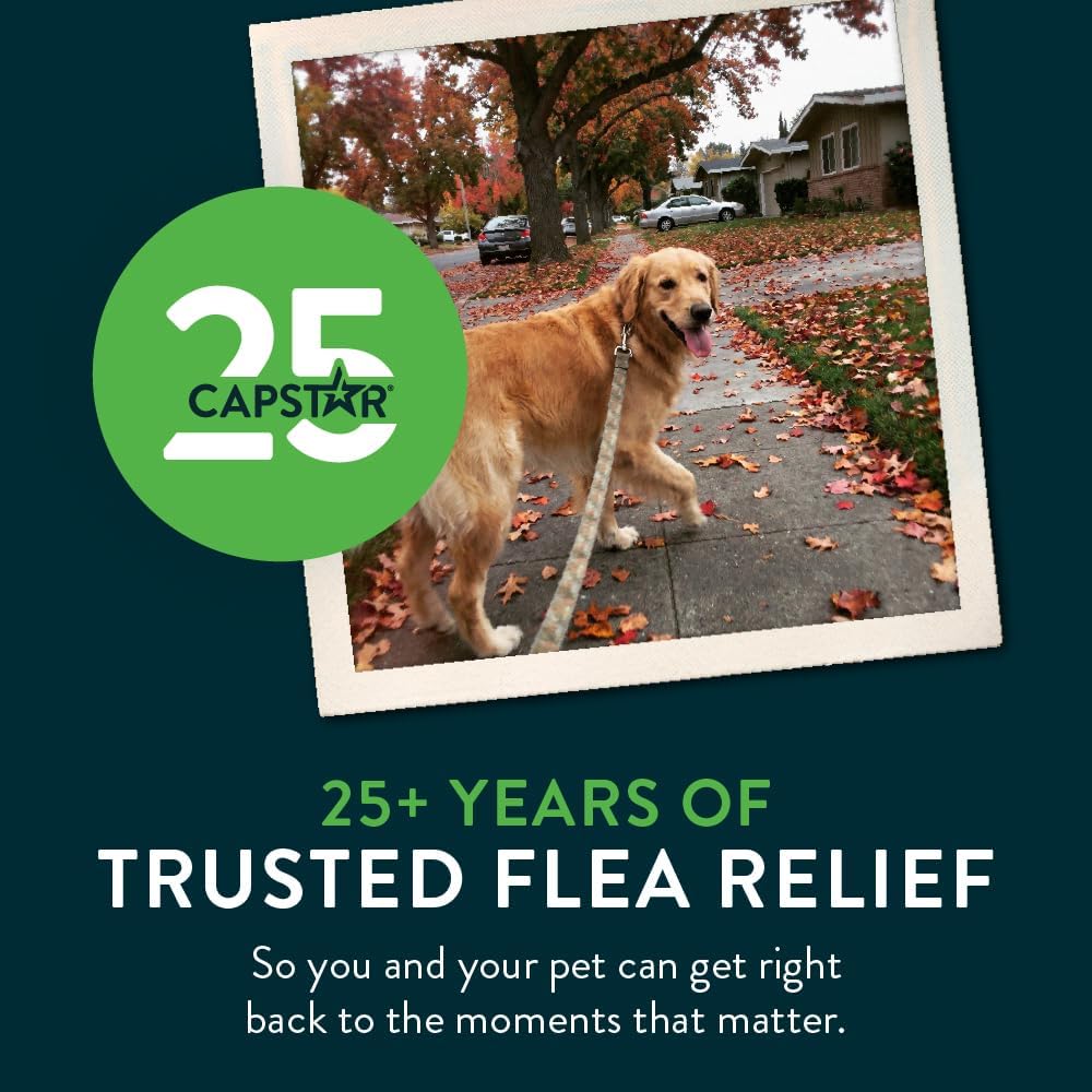 Capstar (nitenpyram) Fast-Acting Oral Flea Treatment for Dogs 2-25 lbs
