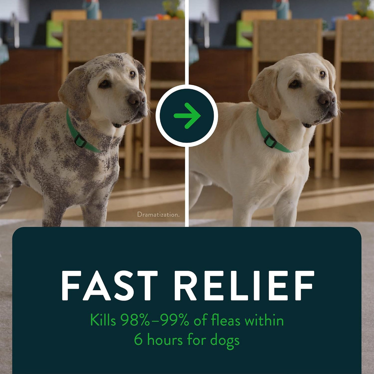 Capstar (nitenpyram) Fast-Acting Oral Flea Treatment for Dogs 2-25 lbs