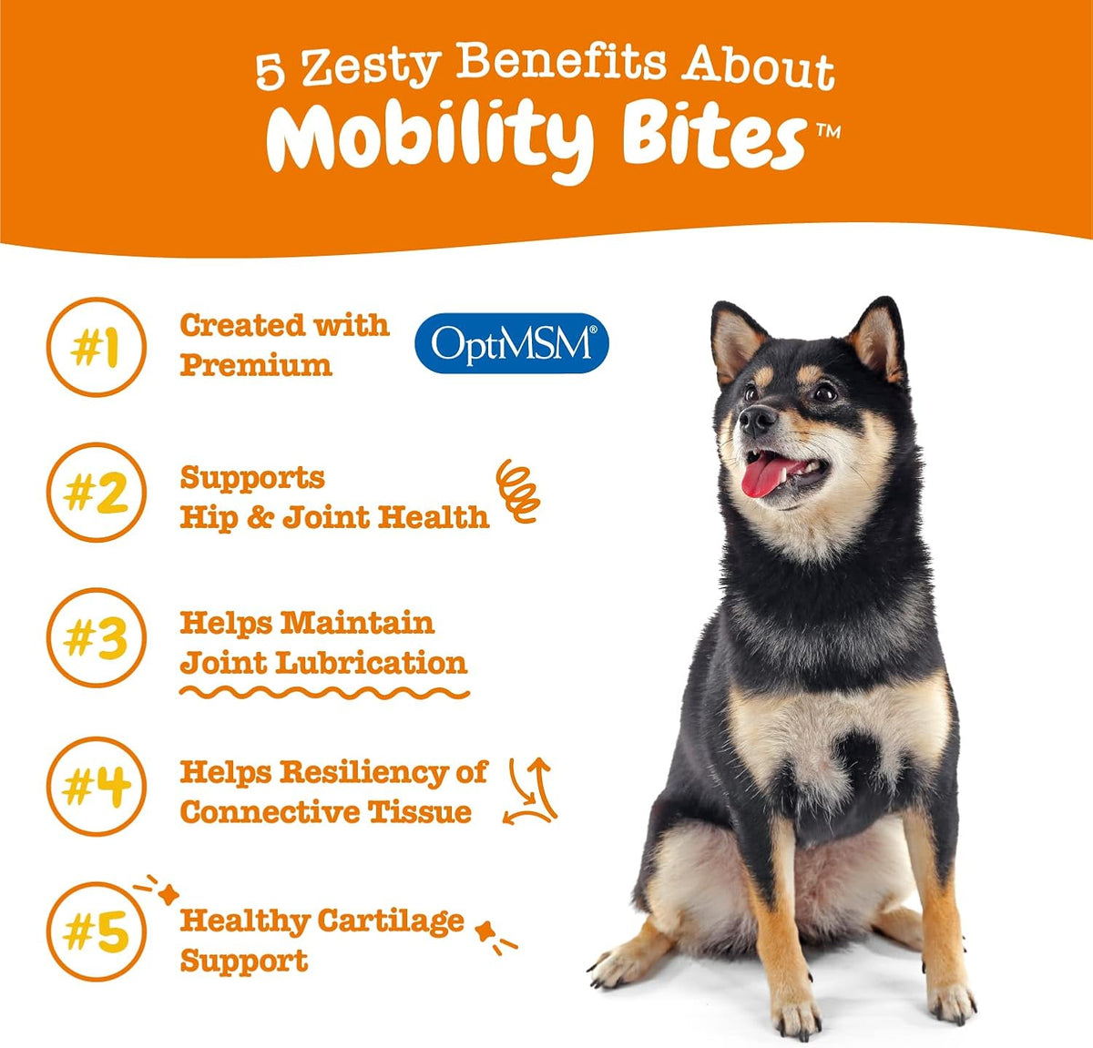 Mobility Bites for Dogs, Hip and Joint, All Ages, Duck, 90 Soft Chews, 12.7 oz (360 g), Zesty Paws Discontinued Listing DO NOT Buy