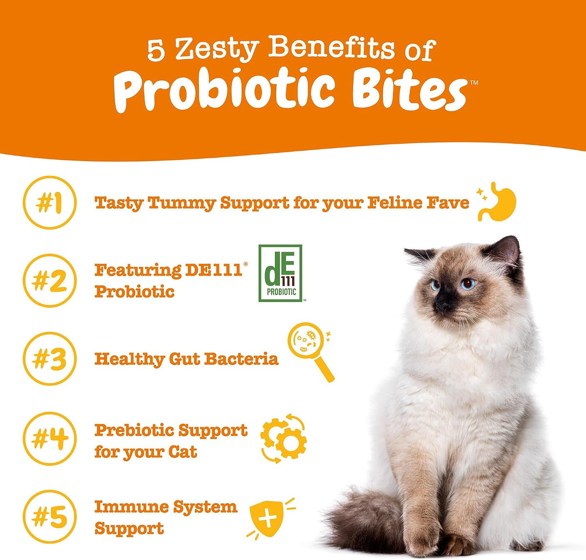 Zesty Paws Probiotics for Dogs - Gut Health Soft Chews, Pumpkin, 90 Ct