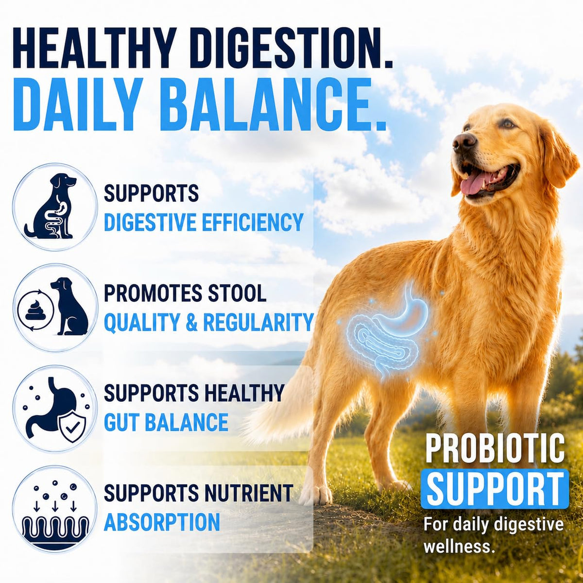 Dog Allergy Relief Chews - Skin Health & Anti-Itch Supplement with Omega-3