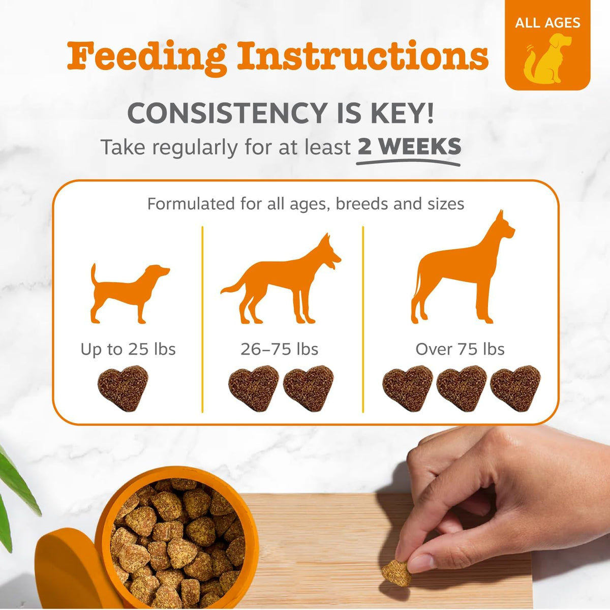 Zesty Paws Probiotics for Dogs - Gut Health Soft Chews, Pumpkin, 90 Ct