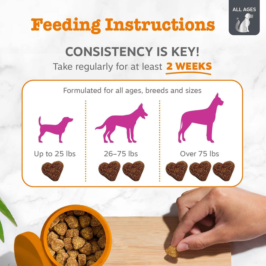 Zesty Paws Glucosamine for Dogs - Dog Joint Supplement, Bacon, 90 Ct