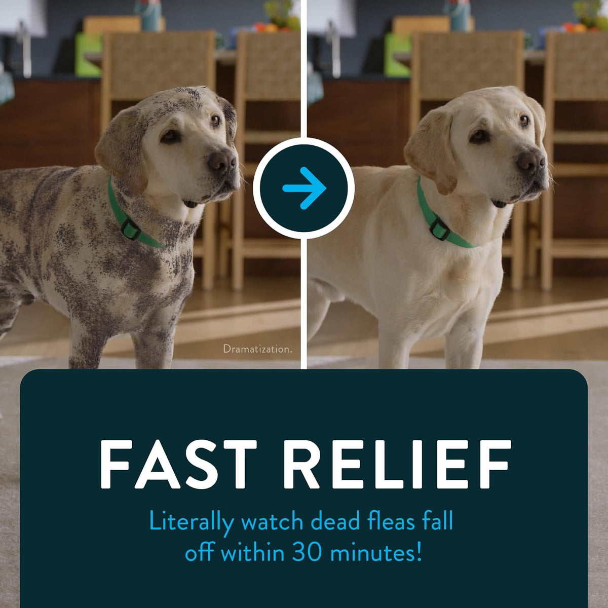 Capstar (nitenpyram) Fast-Acting Oral Flea Treatment for Dogs 2-25 lbs