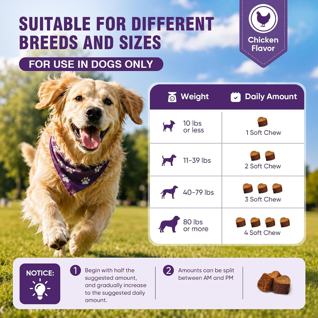 Dog Allergy Chews 200ct - Aller Immune Relief for Itchy Skin, Chicken Bites
