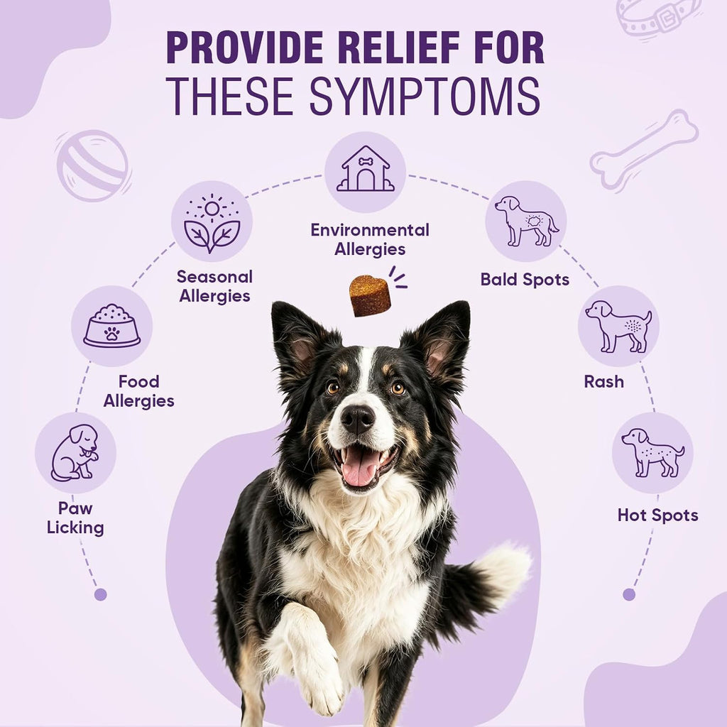 Dog Allergy Chews 200ct - Aller Immune Relief for Itchy Skin, Chicken Bites