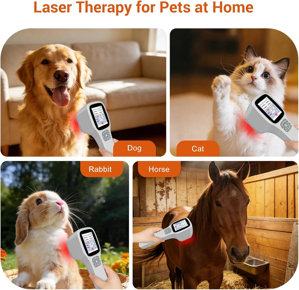 Cold Laser Therapy Device for Dogs Veterinary Laser Therapy for Horses Cats