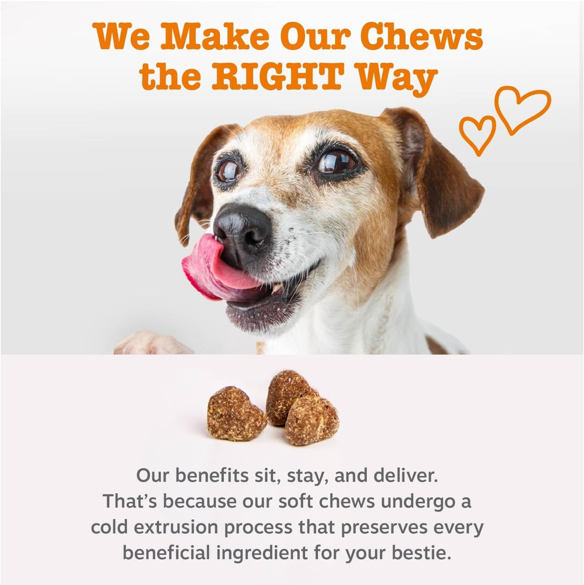 Zesty Paws Probiotics for Dogs - Gut Health Soft Chews, Pumpkin, 90 Ct