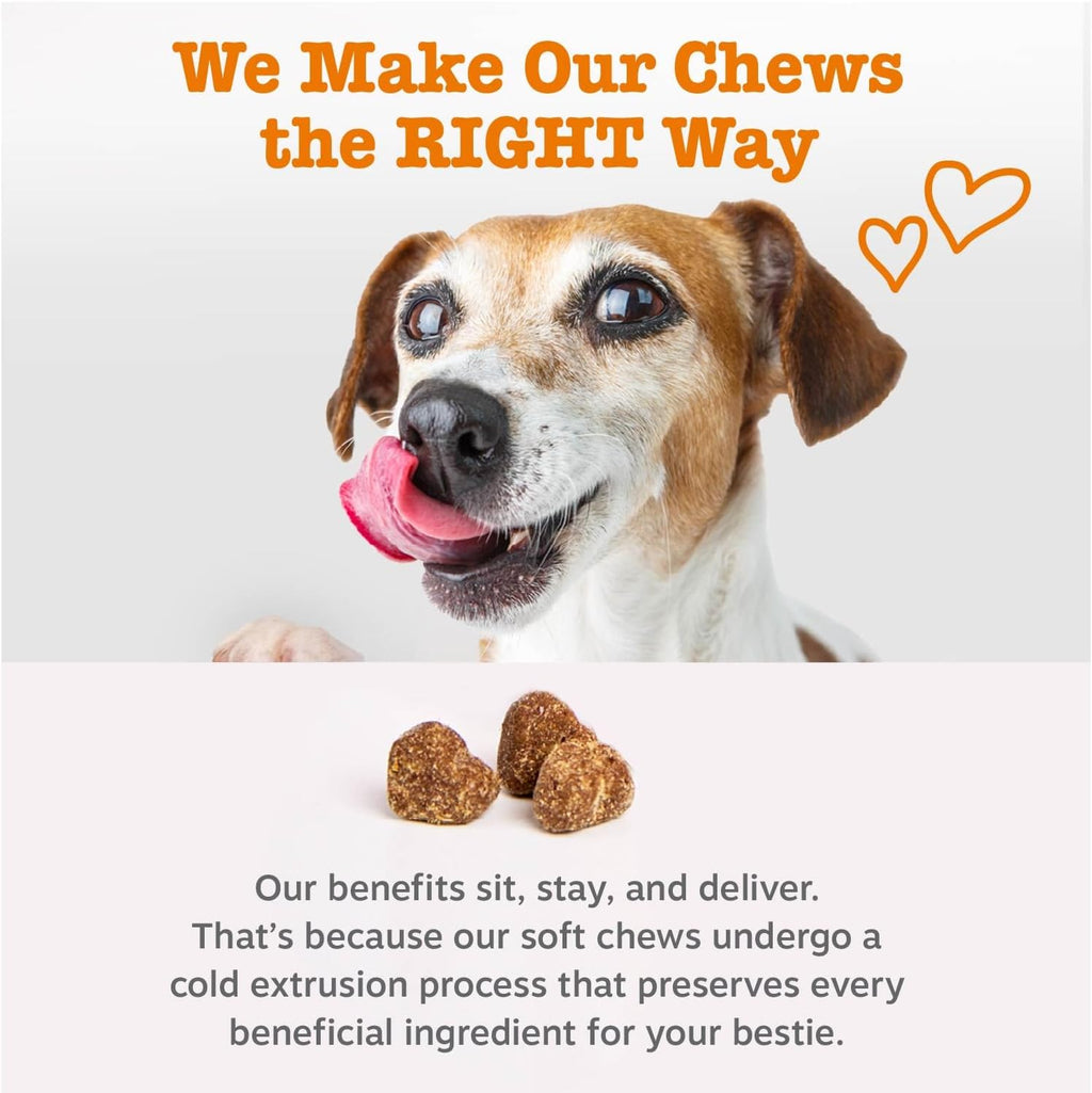Zesty Paws Probiotics for Dogs - Gut Health Soft Chews, Pumpkin, 90 Ct