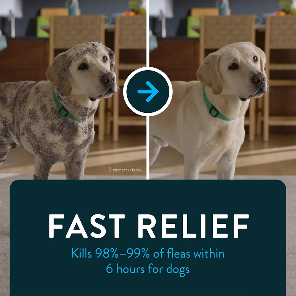 Capstar (nitenpyram) Fast-Acting Oral Flea Treatment for Dogs 2-25 lbs