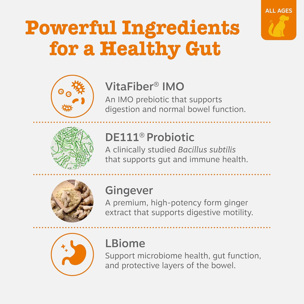 Zesty Paws Probiotics for Dogs - Gut Health Soft Chews, Pumpkin, 90 Ct