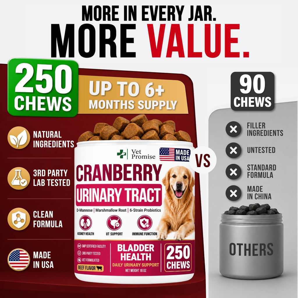 Dog Allergy Relief Chews - Skin Health & Anti-Itch Supplement with Omega-3