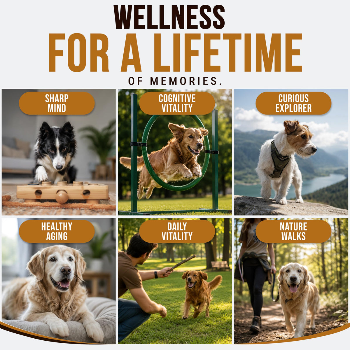 Dog Allergy Relief Chews - Skin Health & Anti-Itch Supplement with Omega-3