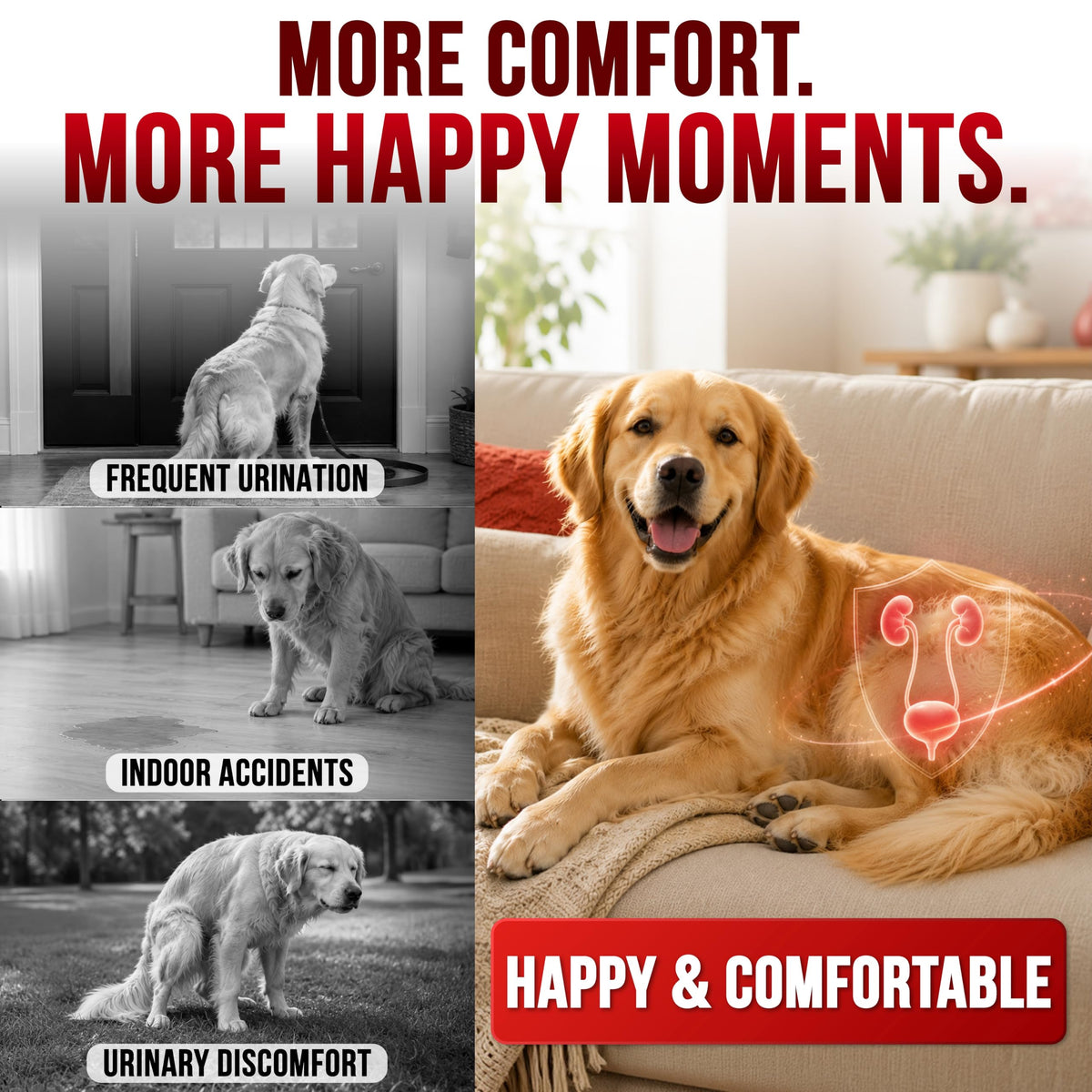 Dog Allergy Relief Chews - Skin Health & Anti-Itch Supplement with Omega-3