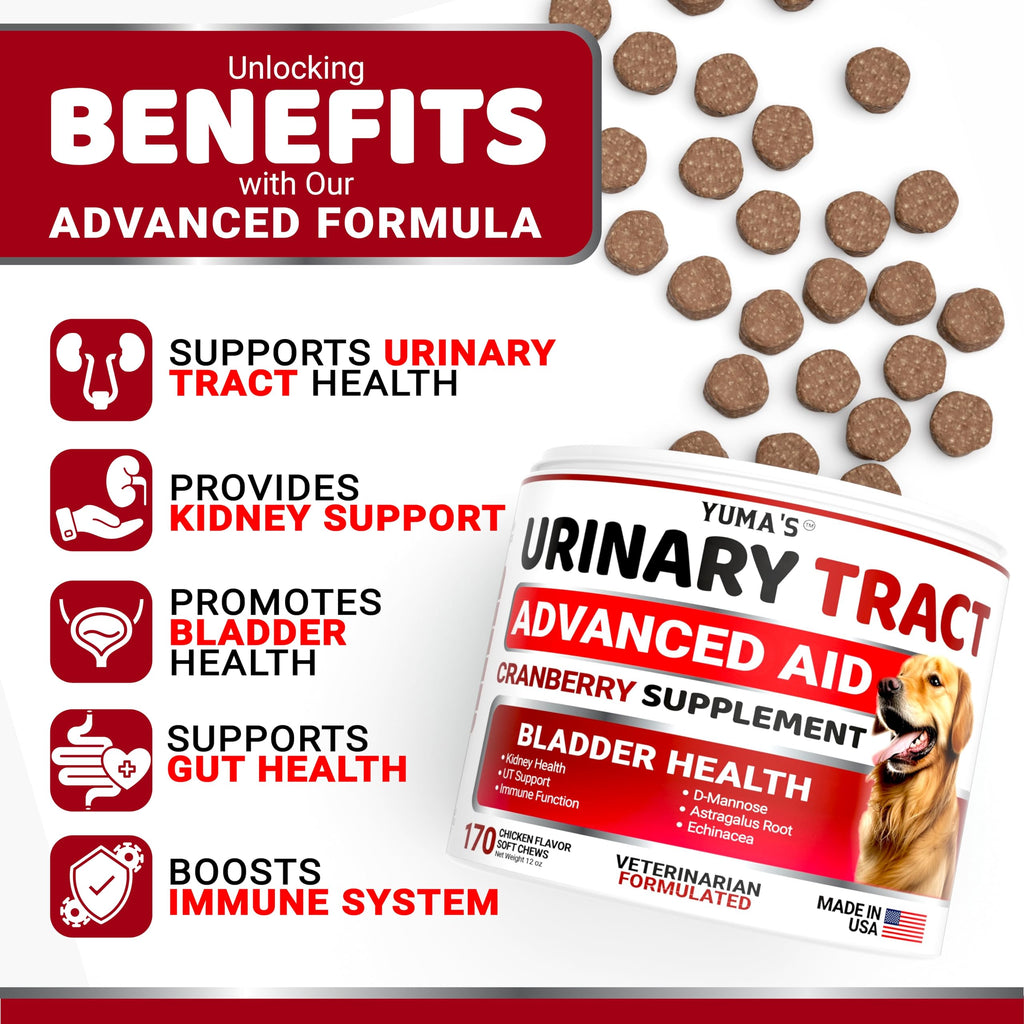 Dog Allergy Relief Chews - 240 Immune Treats, Dog Itching Skin Relief Pills