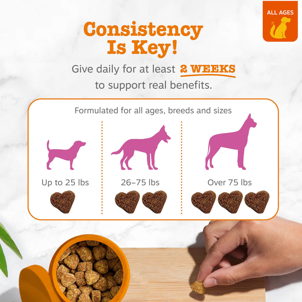 Zesty Paws Glucosamine for Dogs - Dog Joint Supplement, Bacon, 90 Ct