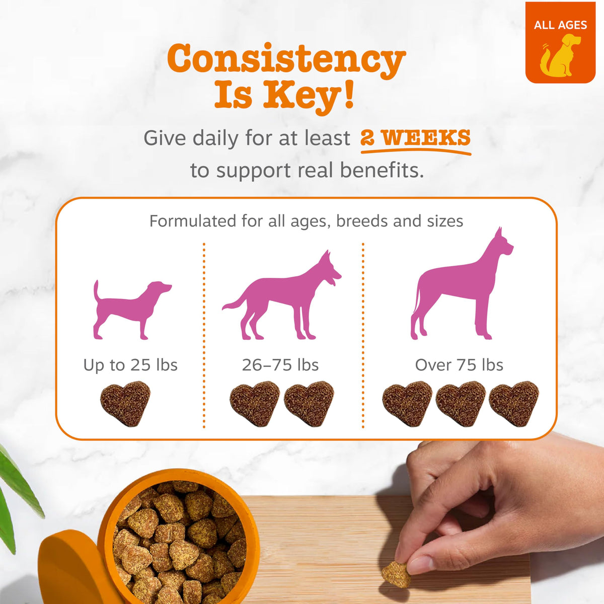 Zesty Paws Glucosamine for Dogs - Dog Joint Supplement, Bacon, 90 Ct
