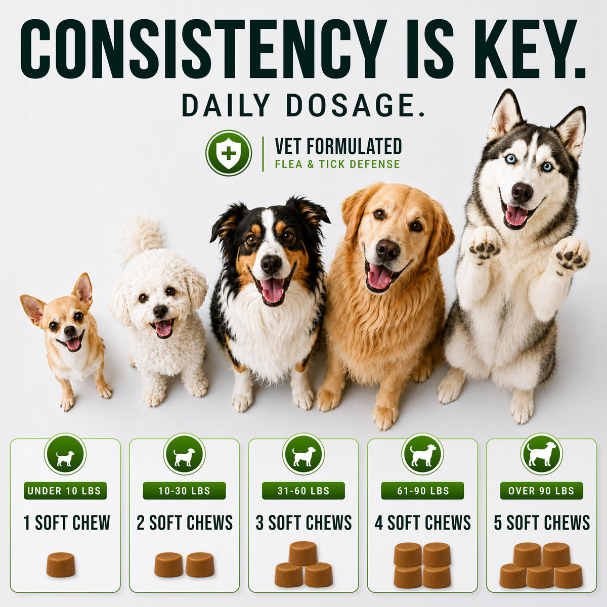 Dog Allergy Relief Chews - Skin Health & Anti-Itch Supplement with Omega-3