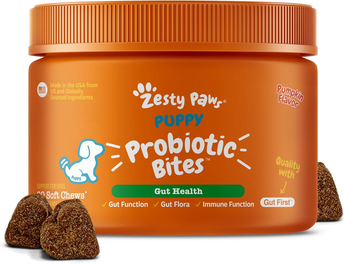 Zesty Paws Probiotics for Dogs - Gut Health Soft Chews, Pumpkin, 90 Ct