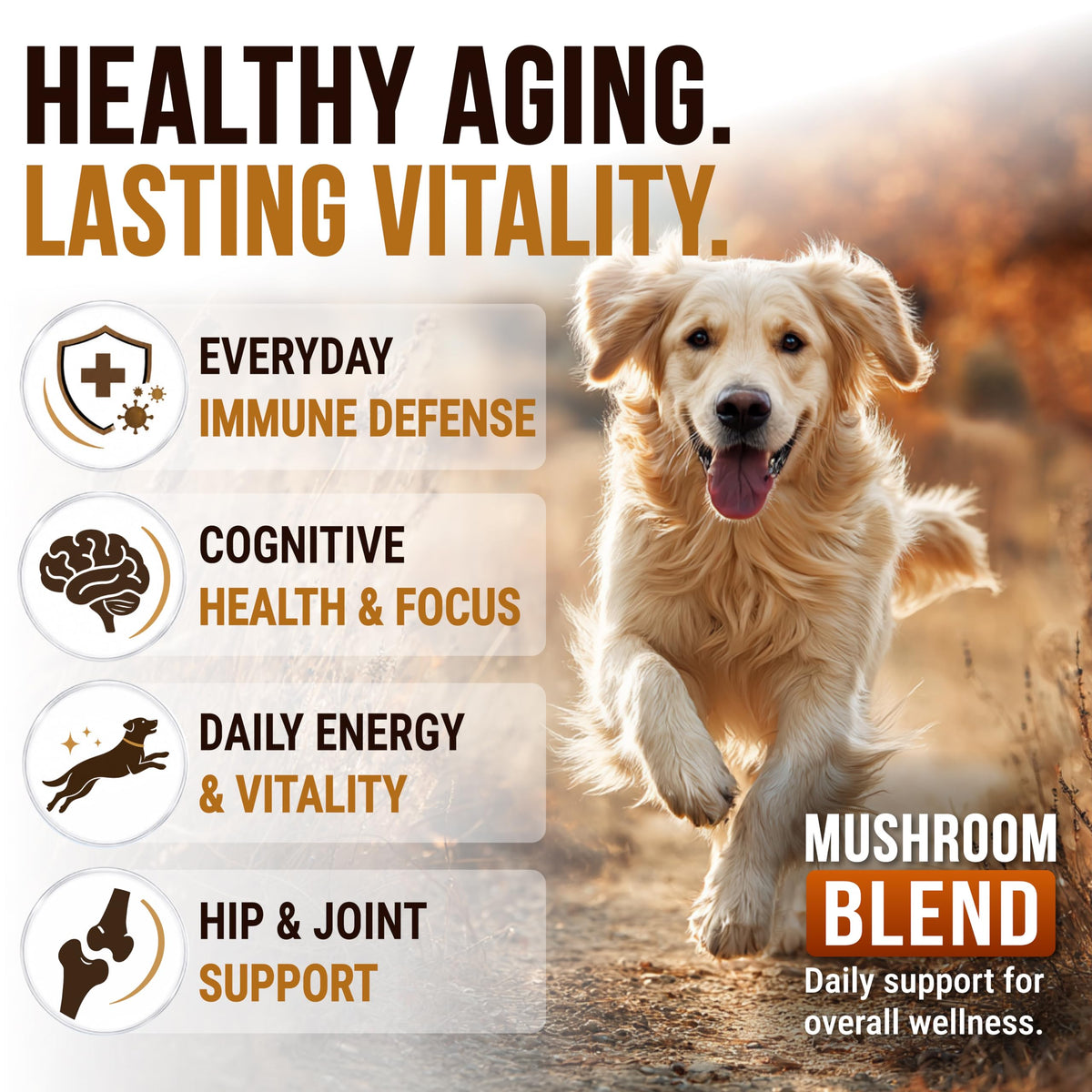 Dog Allergy Relief Chews - Skin Health & Anti-Itch Supplement with Omega-3