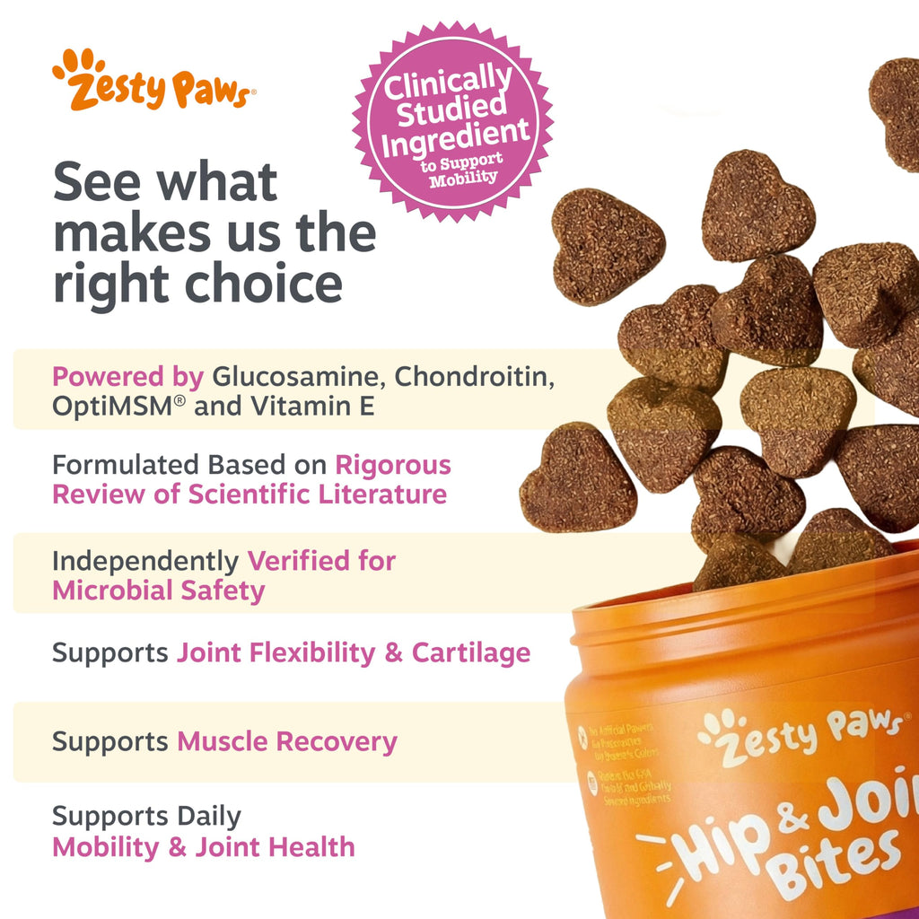 Zesty Paws Glucosamine for Dogs - Dog Joint Supplement, Bacon, 90 Ct