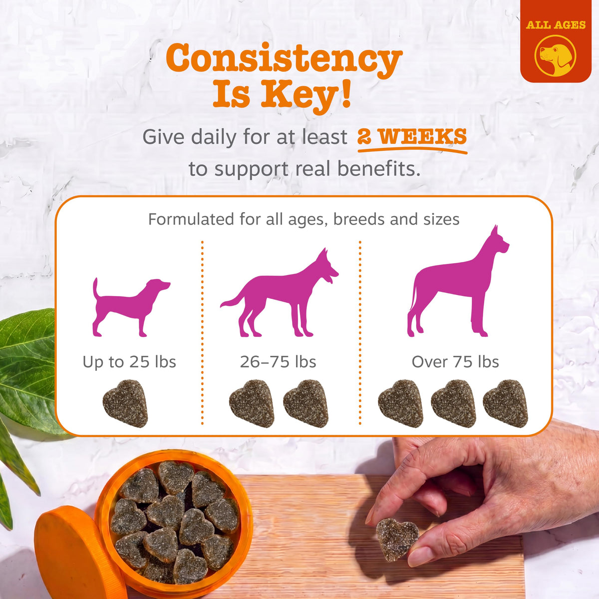 Zesty Paws Glucosamine for Dogs - Dog Joint Supplement, Bacon, 90 Ct