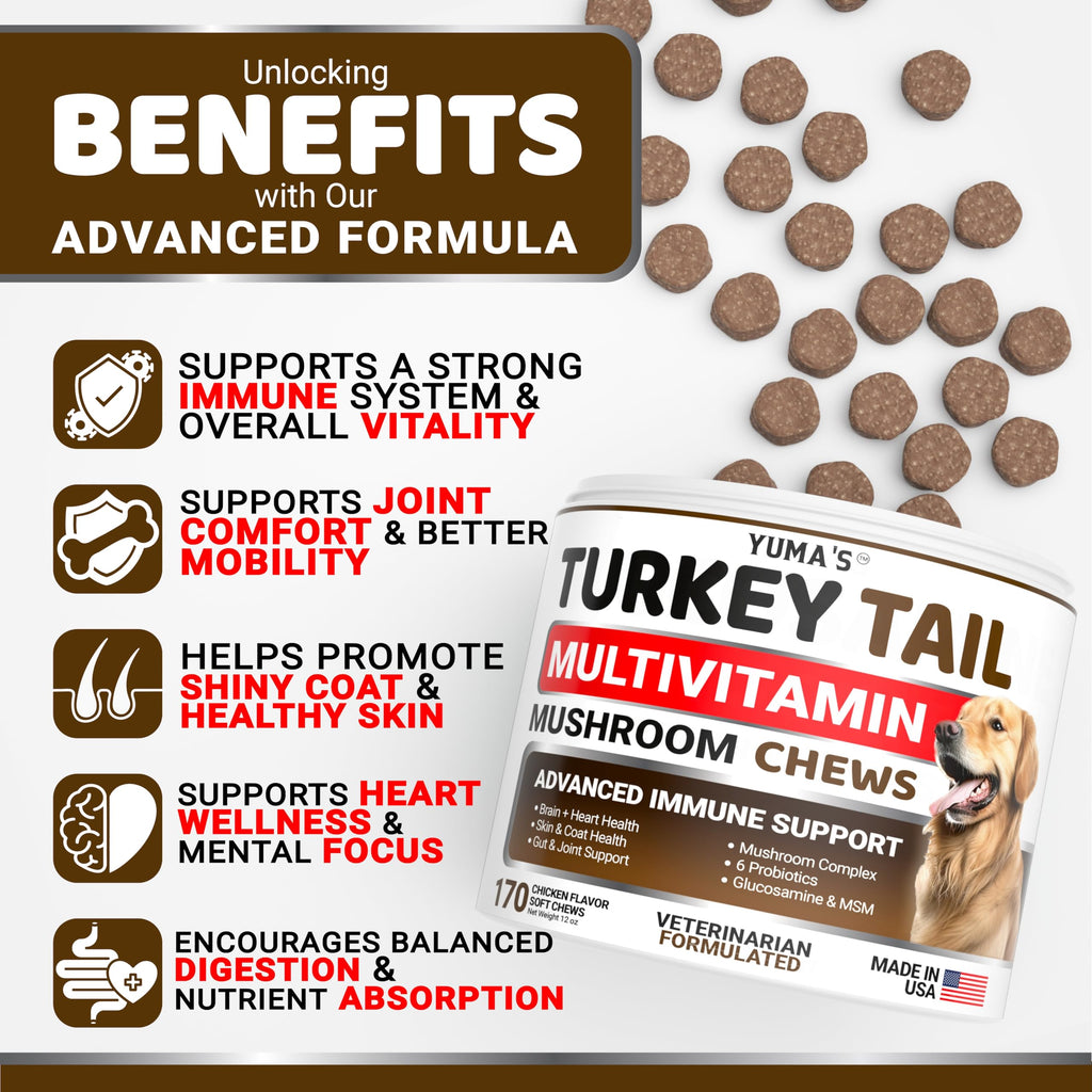 Dog Allergy Relief Chews - 240 Immune Treats, Dog Itching Skin Relief Pills