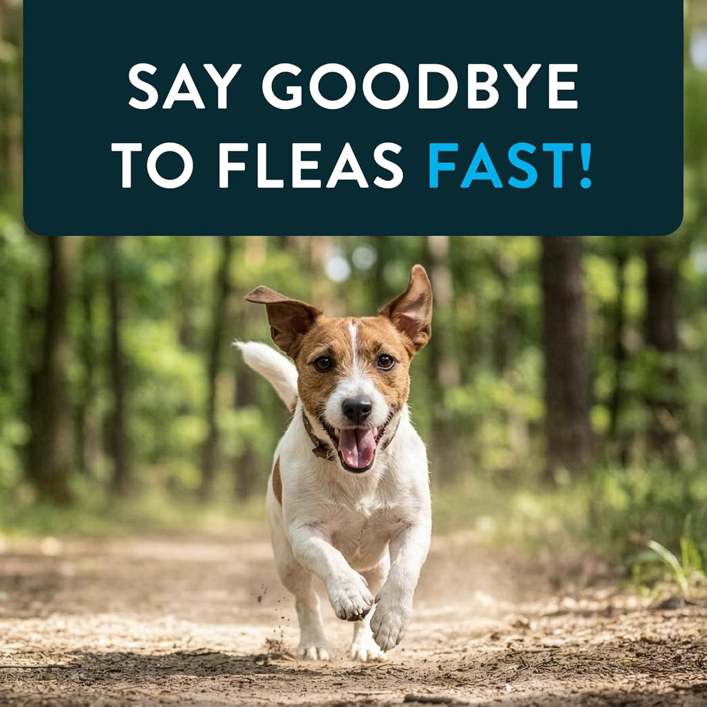Capstar (nitenpyram) Fast-Acting Oral Flea Treatment for Dogs 2-25 lbs