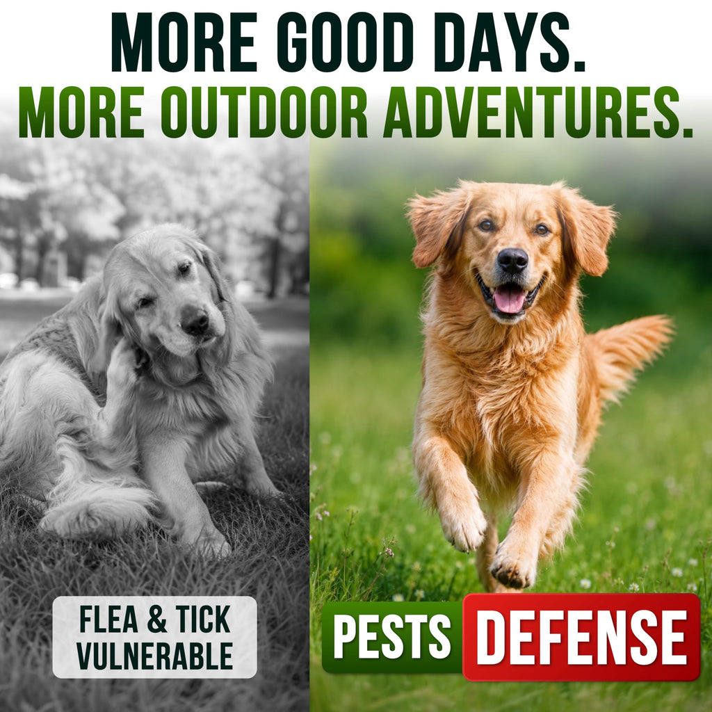 Dog Allergy Relief Chews - Skin Health & Anti-Itch Supplement with Omega-3