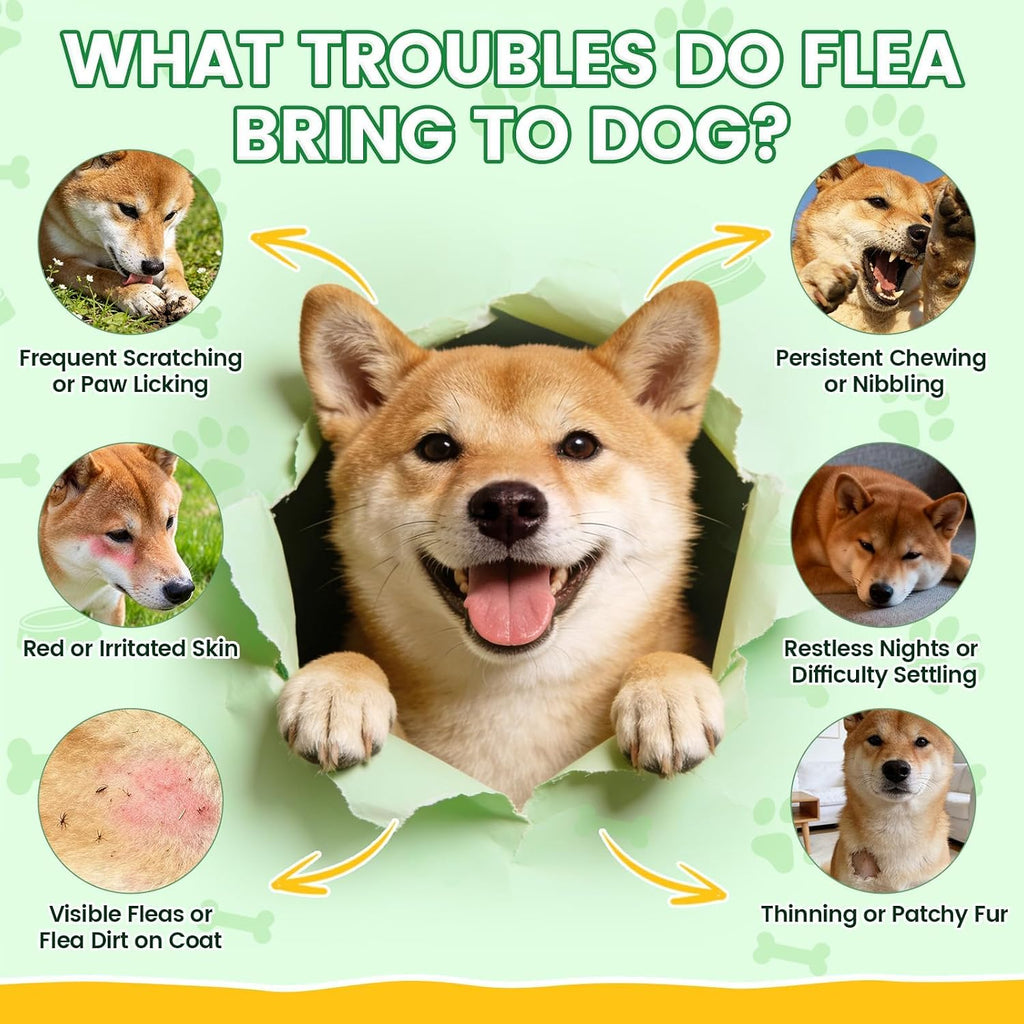 Flea and Tick Prevention for Dogs, 500 Tasty Chicken Flavor Soft Chews