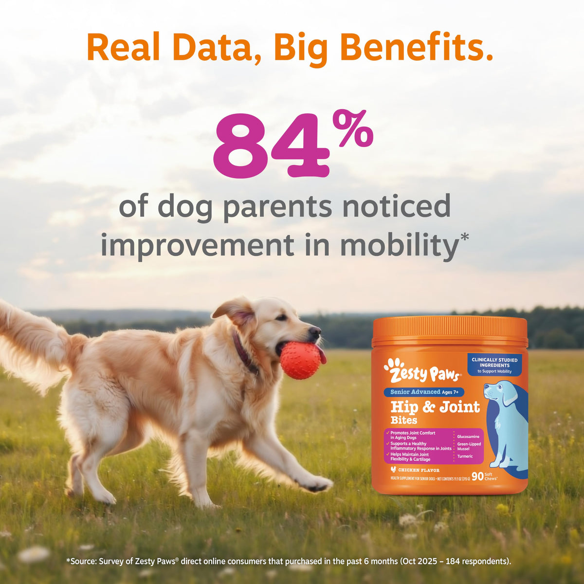 Zesty Paws Glucosamine for Dogs - Dog Joint Supplement, Bacon, 90 Ct