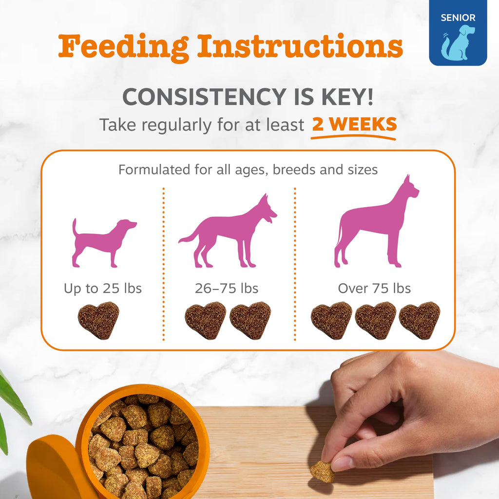 Zesty Paws Glucosamine for Dogs - Dog Joint Supplement, Bacon, 90 Ct