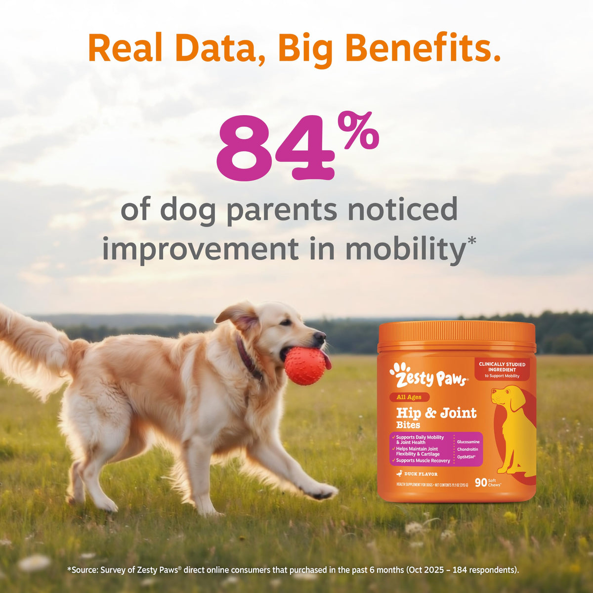Zesty Paws Glucosamine for Dogs - Dog Joint Supplement, Bacon, 90 Ct