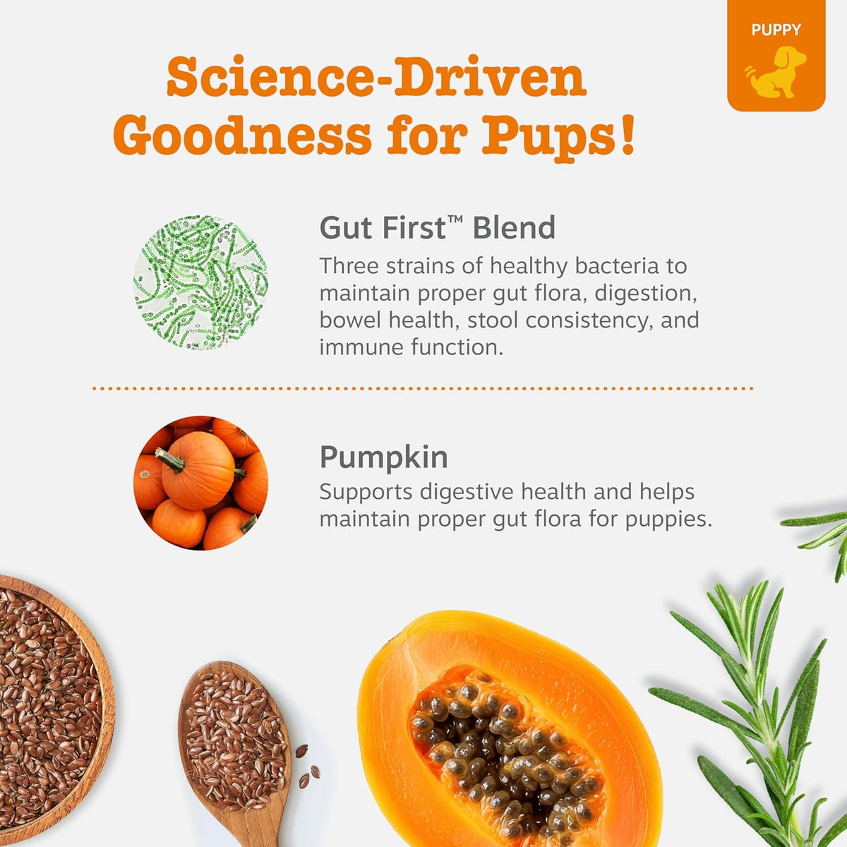 Zesty Paws Probiotics for Dogs - Gut Health Soft Chews, Pumpkin, 90 Ct