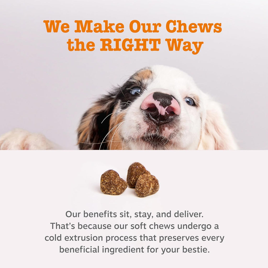 Zesty Paws Probiotics for Dogs - Gut Health Soft Chews, Pumpkin, 90 Ct