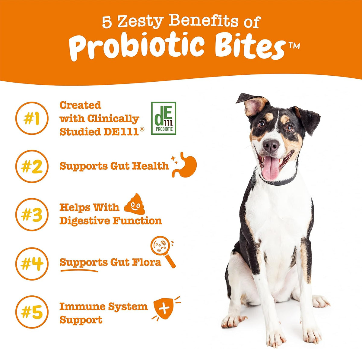 Zesty Paws Probiotics for Dogs - Gut Health Soft Chews, Pumpkin, 90 Ct