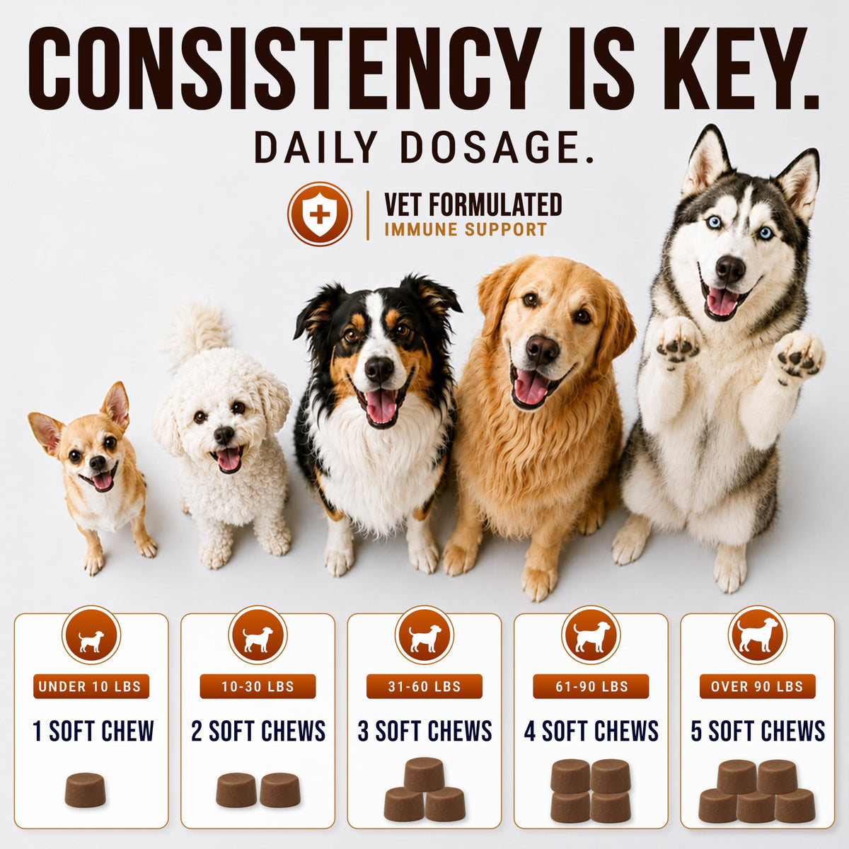 Dog Allergy Relief Chews - Skin Health & Anti-Itch Supplement with Omega-3