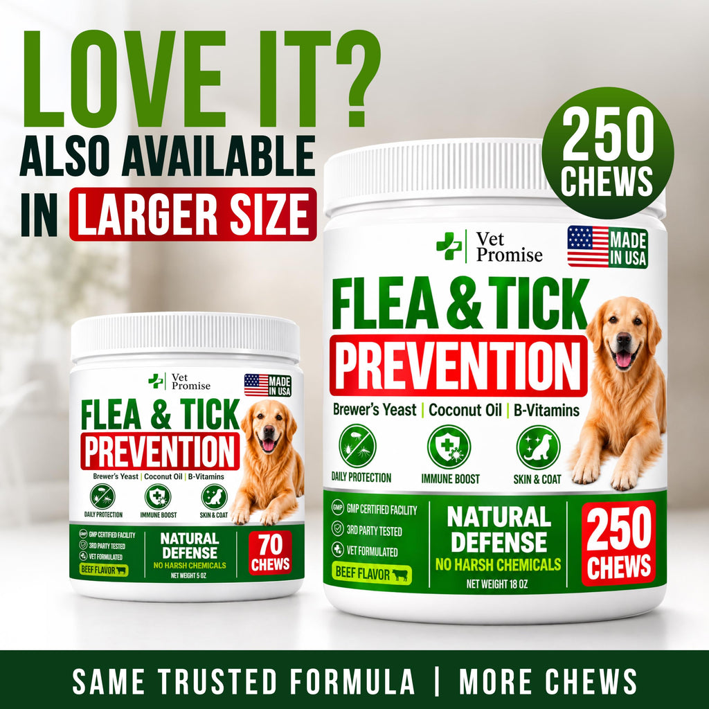 Dog Allergy Relief Chews - Skin Health & Anti-Itch Supplement with Omega-3