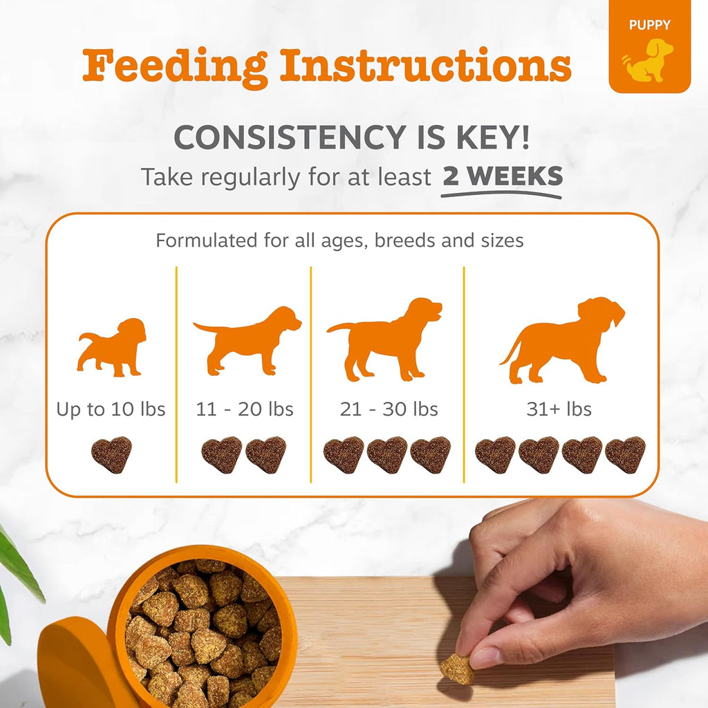 Zesty Paws Probiotics for Dogs - Gut Health Soft Chews, Pumpkin, 90 Ct