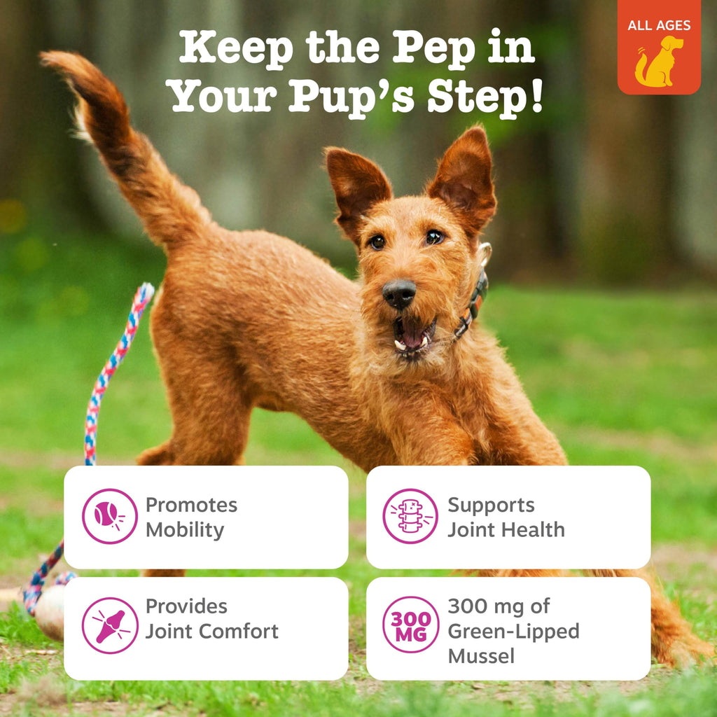 Zesty Paws Glucosamine for Dogs - Dog Joint Supplement, Bacon, 90 Ct