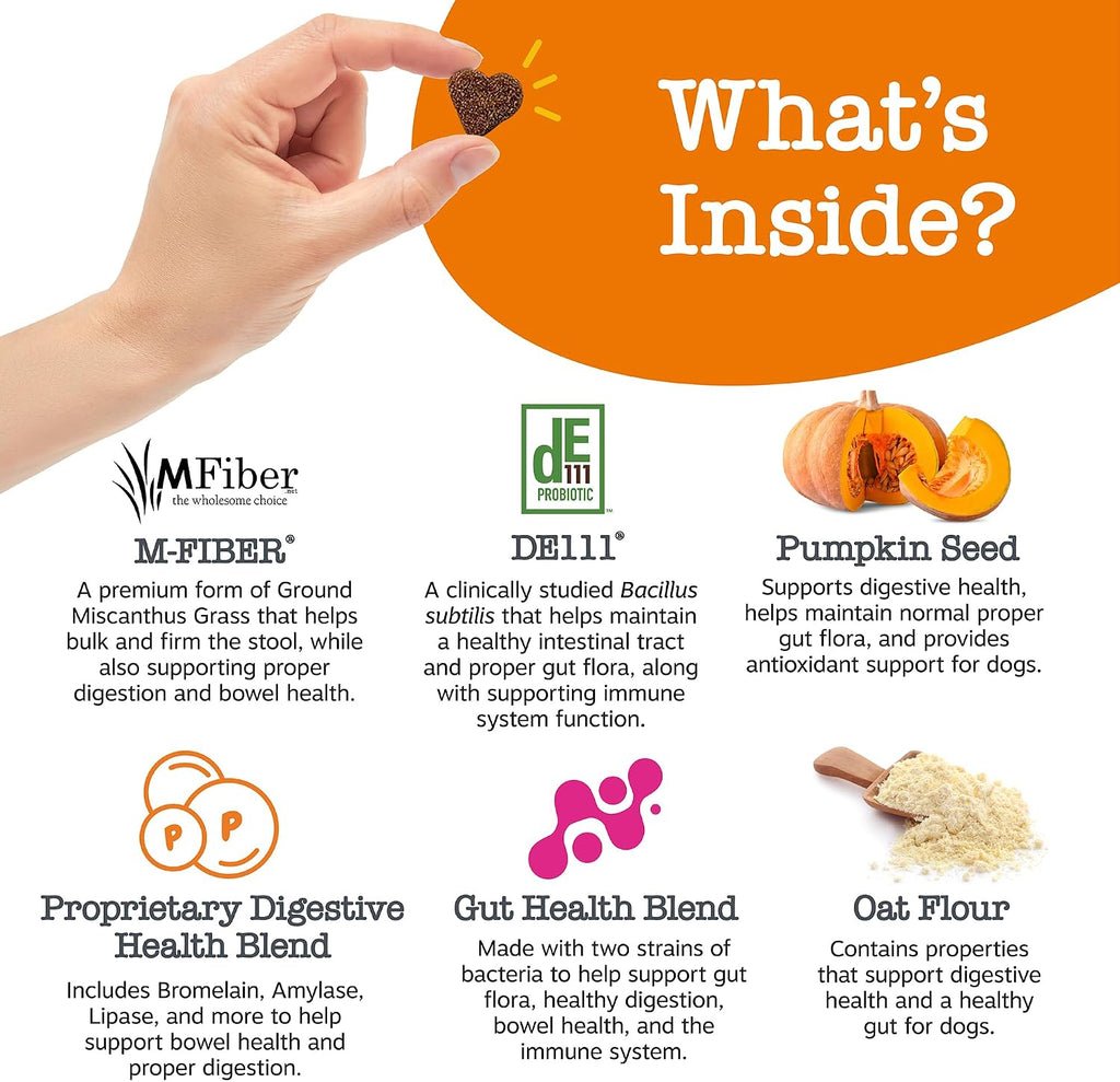 Zesty Paws Probiotics for Dogs - Gut Health Soft Chews, Pumpkin, 90 Ct