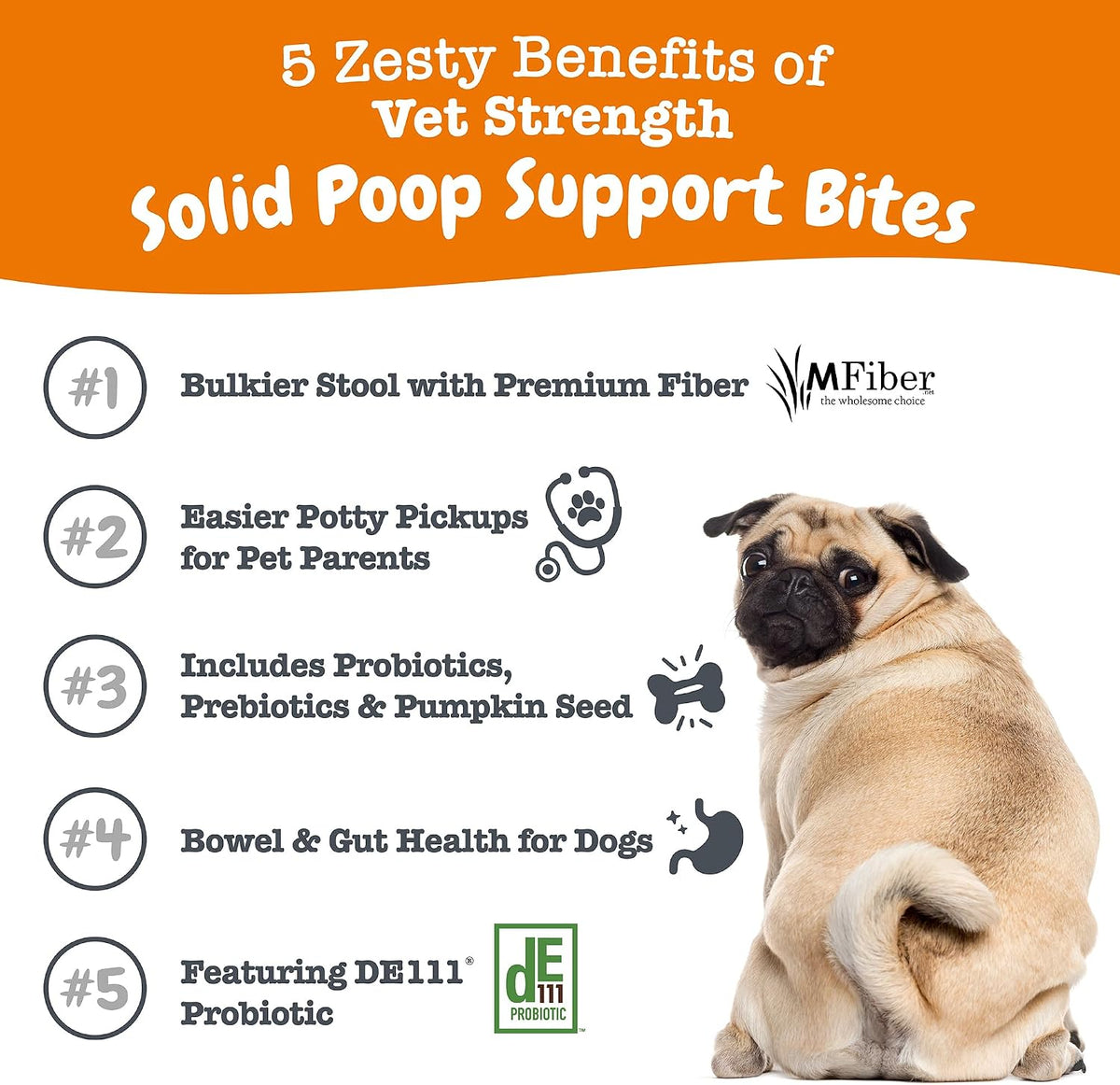 Zesty Paws Probiotics for Dogs - Gut Health Soft Chews, Pumpkin, 90 Ct