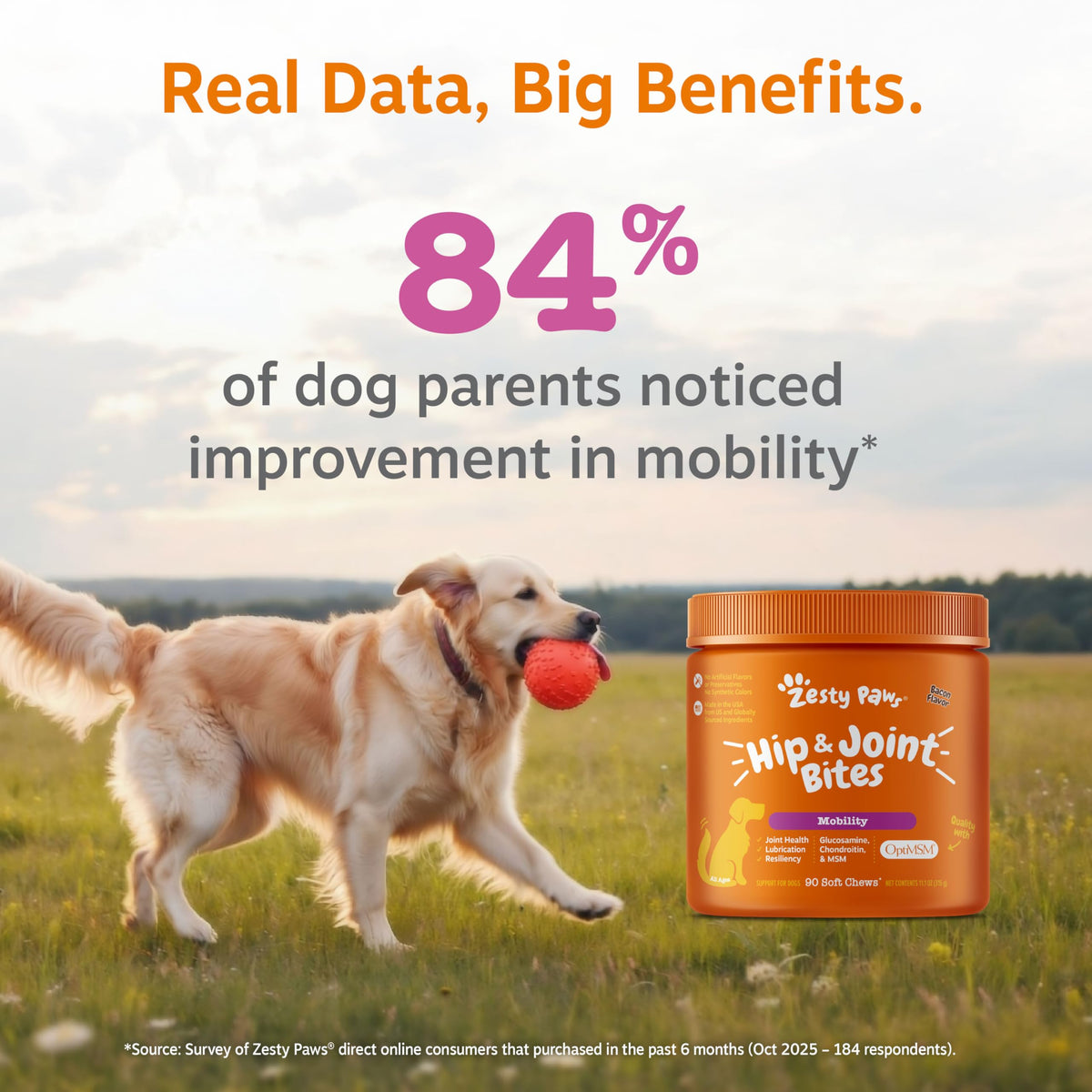 Zesty Paws Glucosamine for Dogs - Dog Joint Supplement, Bacon, 90 Ct