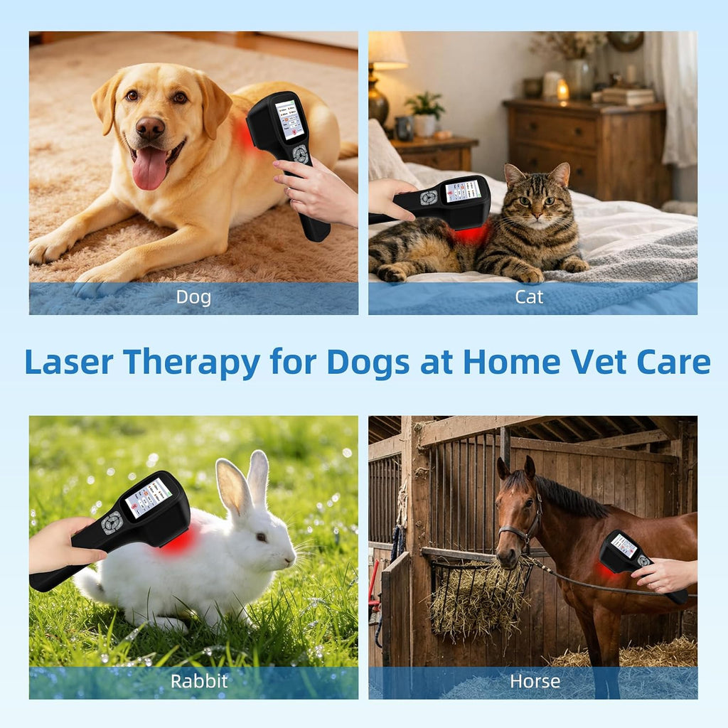 Cold Laser Therapy Device for Dogs, with 4 Wavelengths and Touch Screen