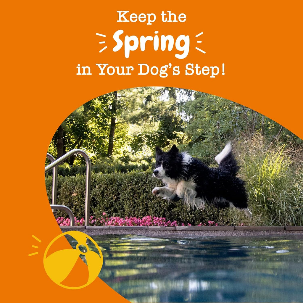 Mobility Bites for Dogs, Hip and Joint, All Ages, Duck, 90 Soft Chews, 12.7 oz (360 g), Zesty Paws Discontinued Listing DO NOT Buy