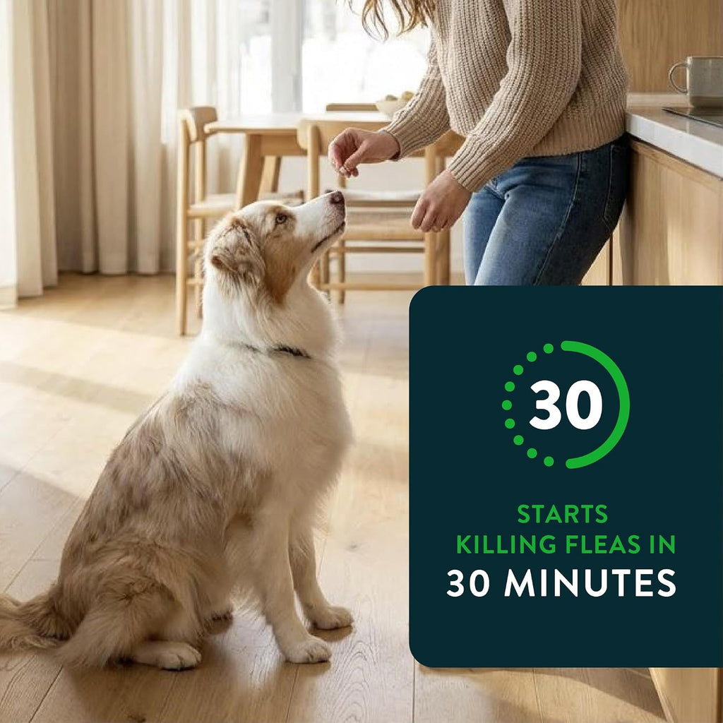 Capstar (nitenpyram) Fast-Acting Oral Flea Treatment for Dogs 2-25 lbs