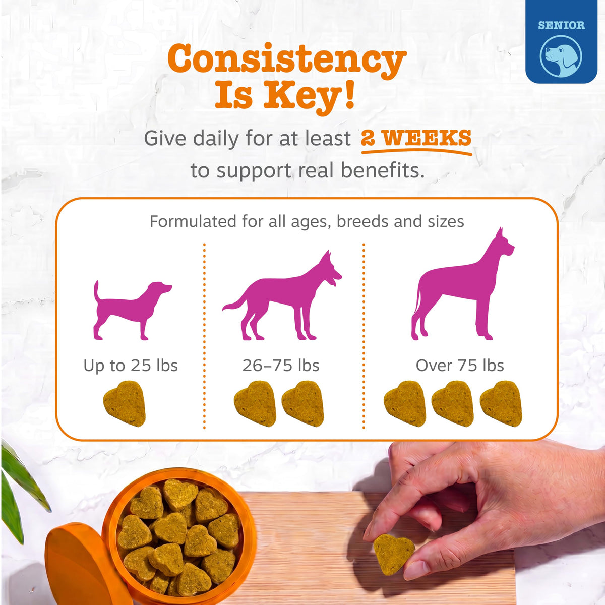 Zesty Paws Glucosamine for Dogs - Dog Joint Supplement, Bacon, 90 Ct