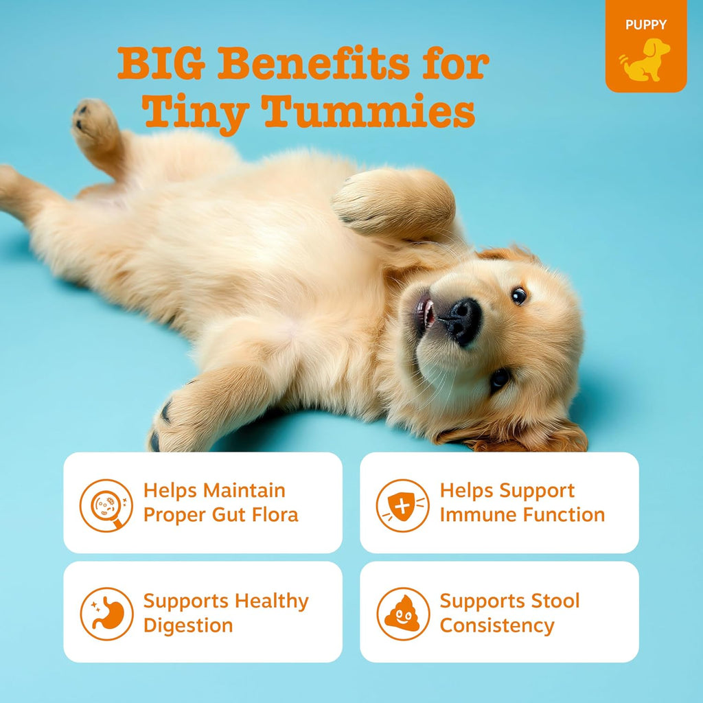Zesty Paws Probiotics for Dogs - Gut Health Soft Chews, Pumpkin, 90 Ct